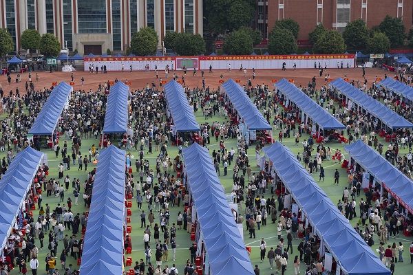 双向奔赴！约3000名毕业生现场达成初步就业意向！